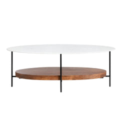 Aesthetic White Oblong Coffee Table