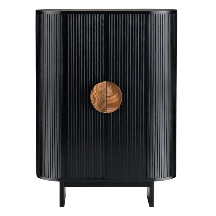 Transitional Black Two-Door Cabinet