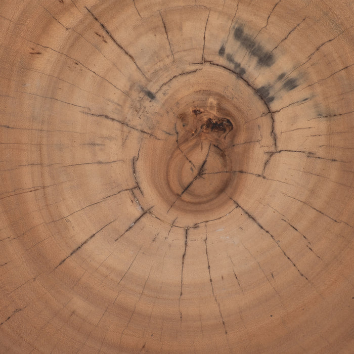 Natural Stump Coffee Table