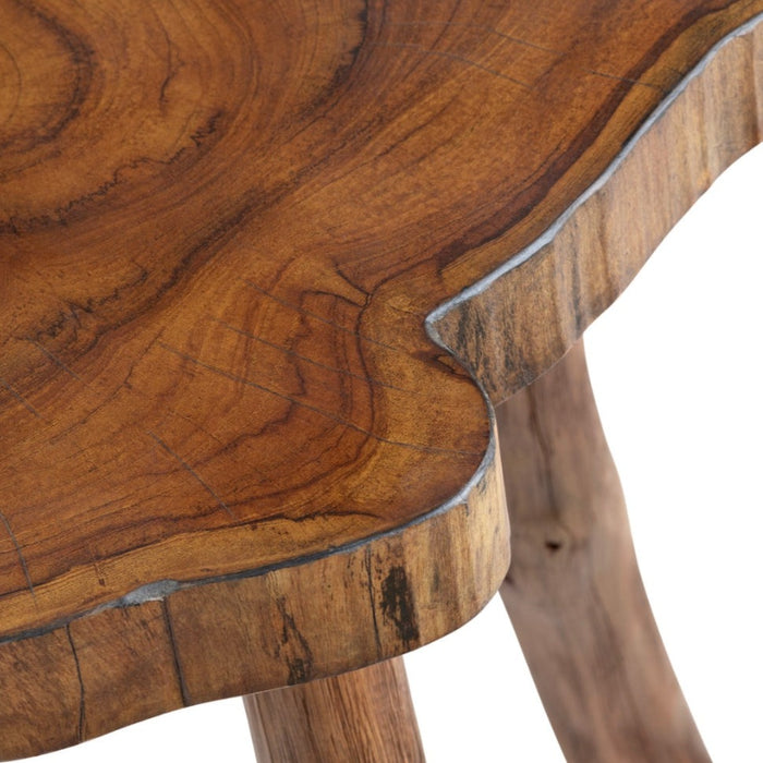 Woodland Tree Trunk End Table