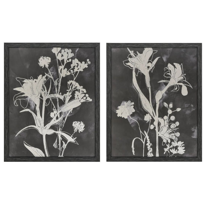 Silhouettes Pressed Flower I Wall Art