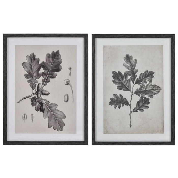 Oak Tree Branch Wall Art I