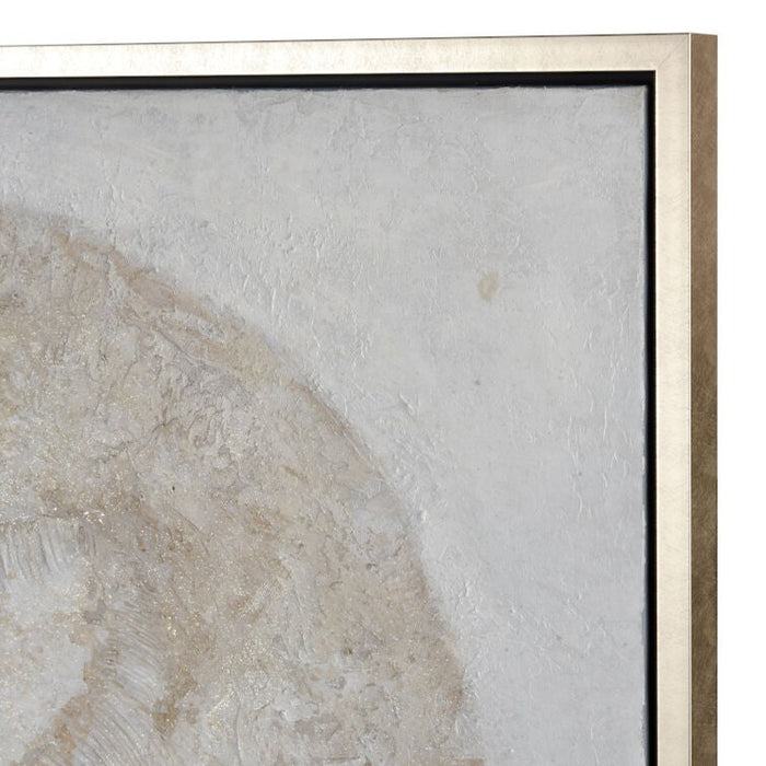 Shell Fossil Wall Art