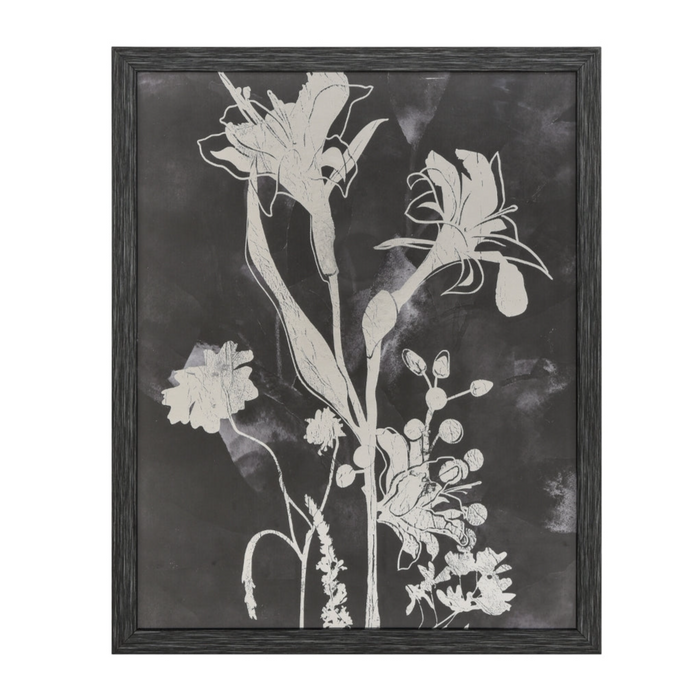 Silhouettes Pressed Flower I Wall Art