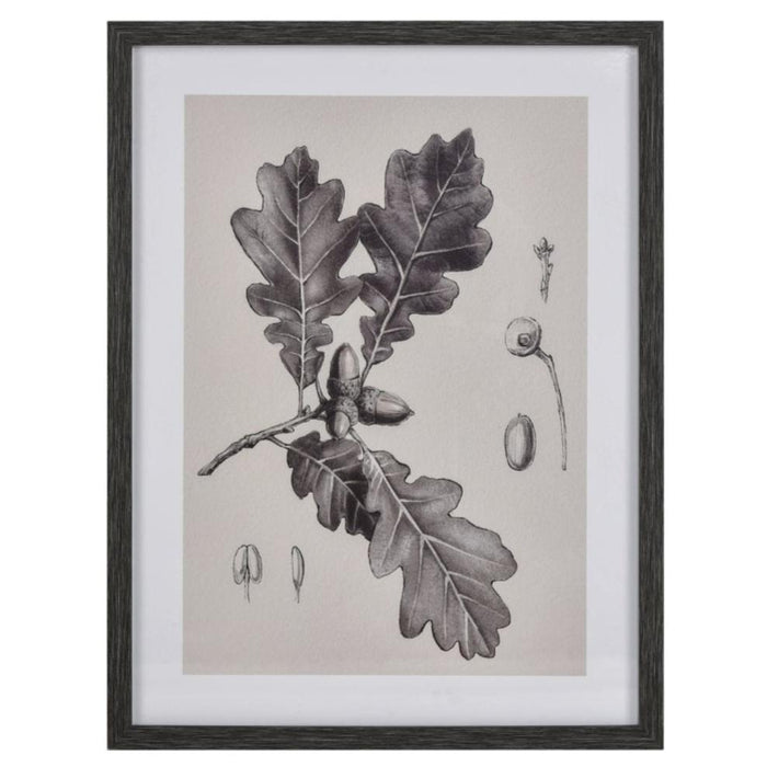 Oak Tree Branch Wall Art I